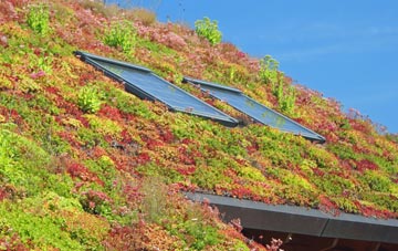 Walsham Le Willows living roof systems