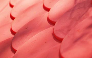 Walsham Le Willows plastic roof costs