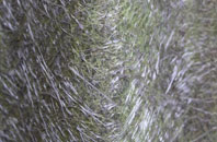 Walsham Le Willows fibreglass roof work