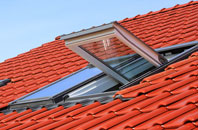 Walsham Le Willows roof window